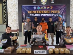 Video Penggerebekan Home Industri Budidaya Ganja di Lampung