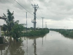 50 Hektare Padi-Tambak Udang di Lombok Tengah Terendam Banjir