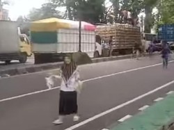 Video: Heboh Sopir Bagikan Ayam Gegara Truk Terjebak Macet di Jl Trans Sulsel