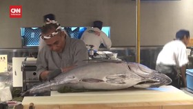 VIDEO: Sensasi Melihat Langsung Proses Memotong Ikan Tuna