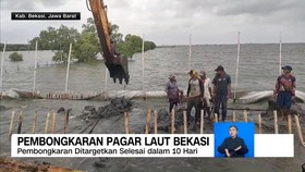 VIDEO:Pembongkaran Pagar Laut Bekasi Ditargetkan Selesai dalam 10 Hari