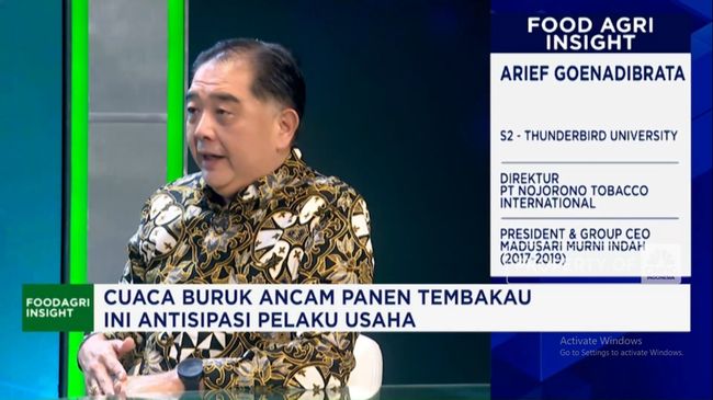 Cuaca Buruk Ancam Panen Tembakau, Pengusaha Rokok Antisipasi!