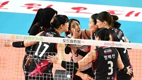 Red Sparks Gugup Tunggu Bukilic dan Park Eun Jin di Playoff