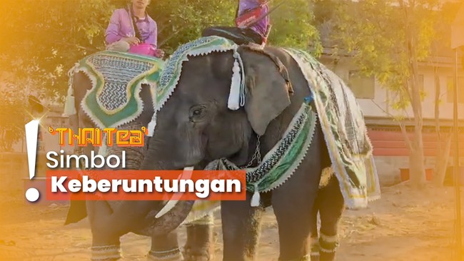 Nikah Massal Jadi Tradisi Valentine di Thailand, Naik ke Atas Gajah