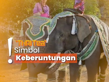 Nikah Massal Jadi Tradisi Valentine di Thailand, Naik ke Atas Gajah