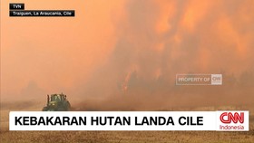 VIDEO: Kebakaran Hutan Hebat Landa Cile, Satu Orang Tewas