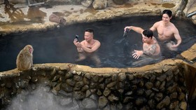 FOTO: Jadwal Mandi Monyet Salju di Jepang Terganggu Kehadiran Turis