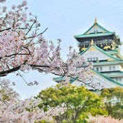 Tak Hanya Sakura, Ini 5 Wisata Musim Semi Populer di Jepang yang Wajib Dikunjungi