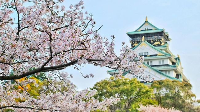 Tak Hanya Sakura, Ini 5 Wisata Musim Semi Populer di Jepang yang Wajib Dikunjungi