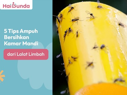 5 Tips Ampuh Bersihkan Kamar Mandi dari Lalat Limbah