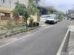 Puluhan Kucing di Malang Mati Massal, Penyebab Masih Misterius