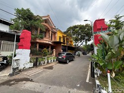 Misteri Penyebab Kematian Massal Kucing di Malang