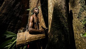 FOTO: Perjuangan Suku Tehit Menjaga Hutan Papua dari Perusahaan Sawit