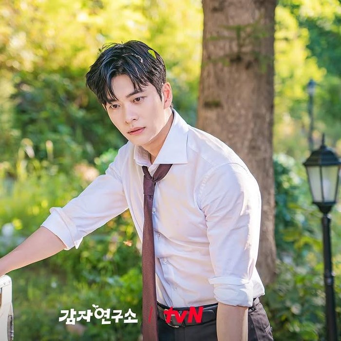 Poster Drama Korea The Potato Lab/ Foto: instagram.com/tvn_drama