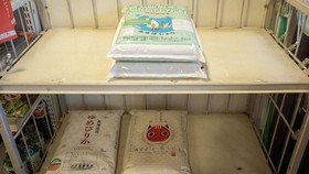 Pertama Kali Sejak 1999, Jepang Impor Beras Korsel
