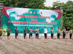Kapolri Tinjau Lokasi Penanaman Jagung di Bantul, Harap RI Tak Impor Lagi