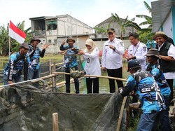 Kolaborasi Pemkot Surabaya dan Poktan: Bozem Disulap Jadi Lahan Produktif