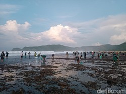 Bau Nyale Dimulai, Warga Lombok Tengah Tumpah Ruah Berburu Cacing di Pantai