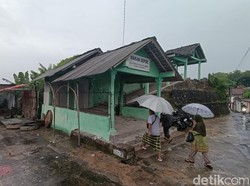 Tawon Vespa di Balecatur Ternyata Berubah Ganas Usai Sarangnya Dirusak