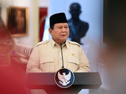 Apa Itu Danantara? Badan Pengelola Investasi yang Akan Diluncurkan Prabowo