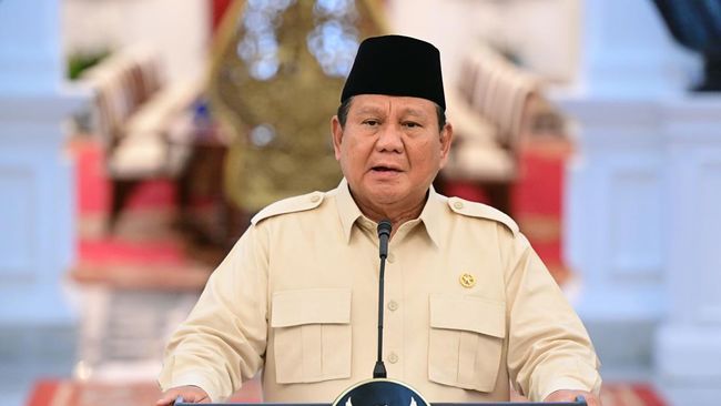 Danantara Akan Diluncurkan Presiden Prabowo 24 Februari 2025, Apa Itu?