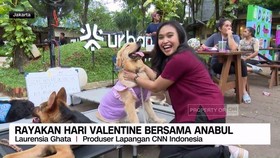 VIDEO: Rayakan Valentine dengan Anabul