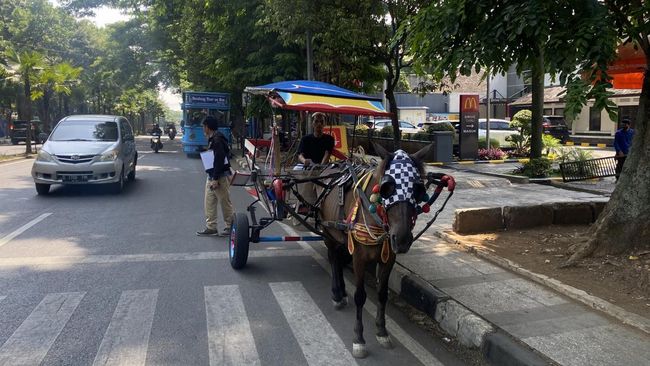 Menteri Tito Puji Pemda Jabar-Jateng Rumahkan Kusir Delman