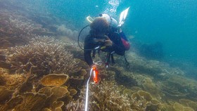 Air Laut 'Mendidih', Cuaca Ekstrem di Indonesia Bakal Makin Parah