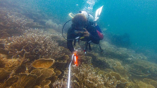 Badan Meteorologi, Klimatologi, dan Geofisika (BMKG) menyebut suhu air laut perairan Indonesia semakin hangat yang memicu cuaca ekstrem menjadi semakin parah.