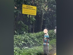 Ketahuan Sudah! Pengunjung Taman Safari Bogor Keluyuran di Area Flamingo