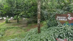 Sosok 3 Saudara Pemilik Taman Safari yang Disorot usai Isu Eksploitasi Pemain Sirkus