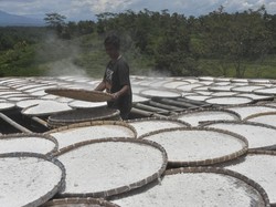 Ada Bukti Tepung Ubi Bisa Padamkan Api, Kepala BRIN: Perlu Produksi Skala Besar