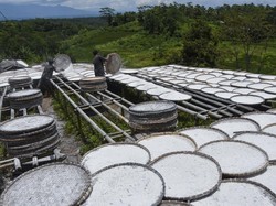 BRIN Kaji Tepung Selain Singkong Jadi Bahan Alternatif Pemadam Api