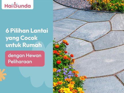 6 Pilihan Lantai yang Cocok untuk Rumah dengan Hewan Peliharaan
