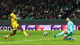 Daftar Top Skor Liga Champions: Guirassy Unggul Atas Deretan Bintang