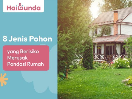 8 Jenis Pohon yang Berisiko Merusak Pondasi Rumah