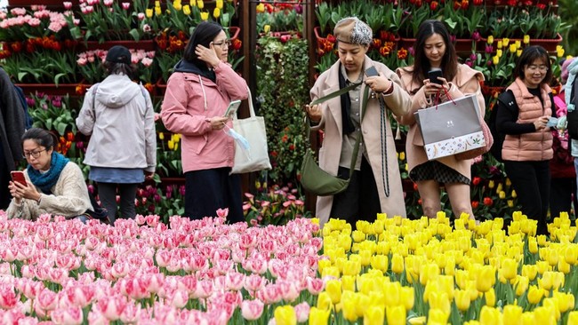 FOTO: Warna-warni Festival Tulip di Taiwan