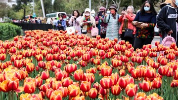 Cara Orang Kaya Taiwan Selamatkan Diri di Tengah Ancaman Perang Besar