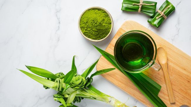 Tak sekadar wangi, daun pandan ternyata punya aneka manfaat kesehatan. Cukup direbus dan minum airnya.