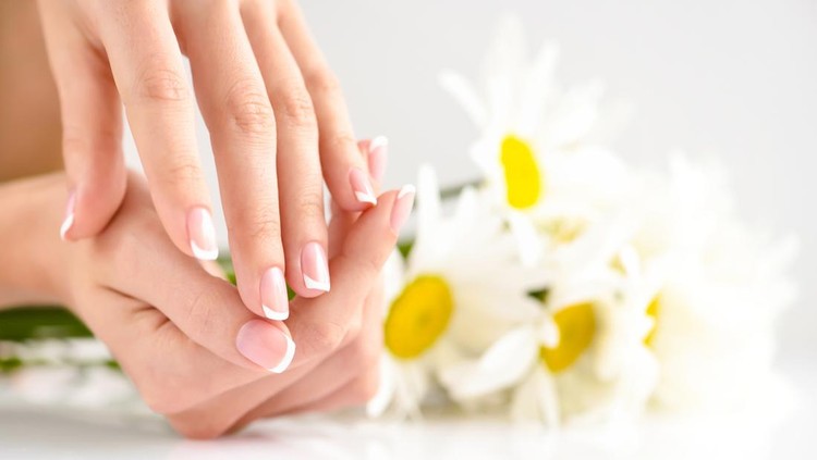 Beautiful woman french manicured hands with fresh daisy flowers
