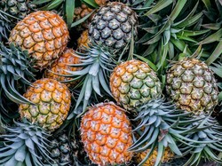 5 Orang dengan Kondisi Tertentu yang Sebaiknya Tak Makan Nanas
