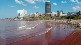 FOTO: Fenomena Alam, Pasir di Pantai Argentina Berubah Jadi Merah