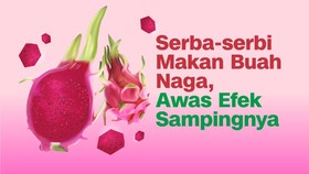 INFOGRAFIS: Serba-serbi Makan Buah Naga, Awas Efek Sampingnya