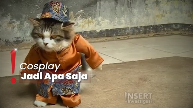 Meow! Kenalan dengan Fredi Lugina, Penjahit Spesialisasi Baju Kucing