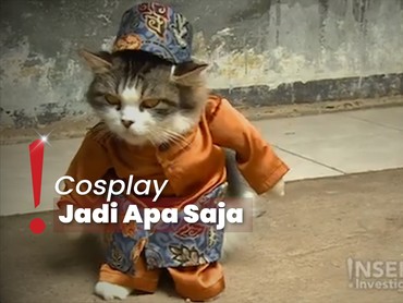 Meow! Kenalan dengan Fredi Lugina, Penjahit Spesialisasi Baju Kucing