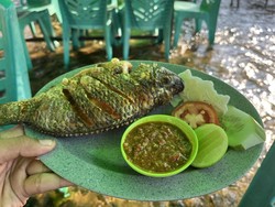 Nikmatnya Kulineran Ikan Nila Andaliman, Makan Sambil Duduk di Tengah Sungai