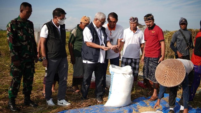 Di tengah mulainya masa panen, pemerintah melalui Perum Bulog tengah melakukan penyerapan gabah/beras sesuai ketentuan pemerintah dengan harga Rp6.500 /kg.