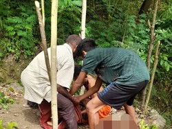 Agustinus Tega Bunuh 2 Anggota Keluarganya gegara Korban Petik Kemiri