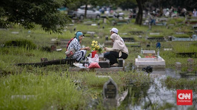 Ziarah kubur adalah ibadah yang dianjurkan dalam Islam. Surat apa yang dibaca ketika berziarah kubur? Berikut daftar dan urutannya.