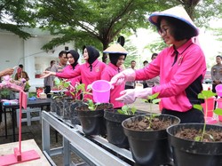 Bhayangkari Mojokerto Kota Manfaatkan Satpas untuk Pekarangan Pangan Lestari